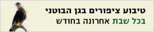  תערוכת בוגרים-המכון לאמנות  