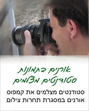 אורנים בתמונות