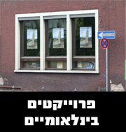 פרוייקטים בינלאומיים