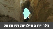 גלריית פעילויות מיוחדות
