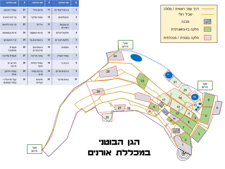 לימודי חינוך - לימודי הוראה באורנים