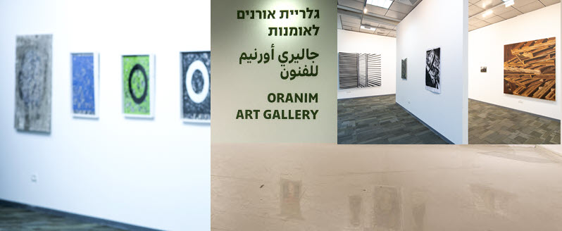 תואר ראשון באומנות - לימודי אומנות