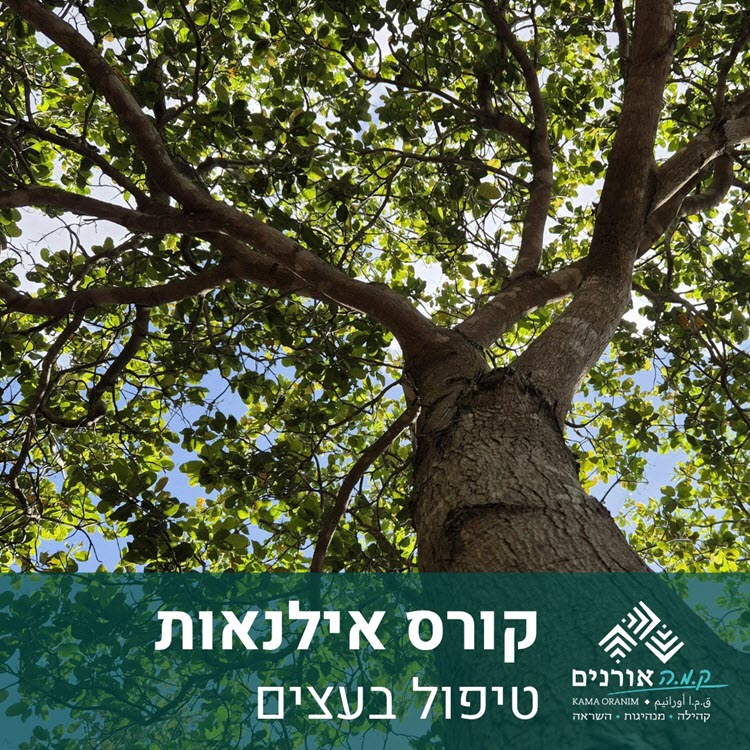הגן הבוטני באורנים - תואר בחינוך