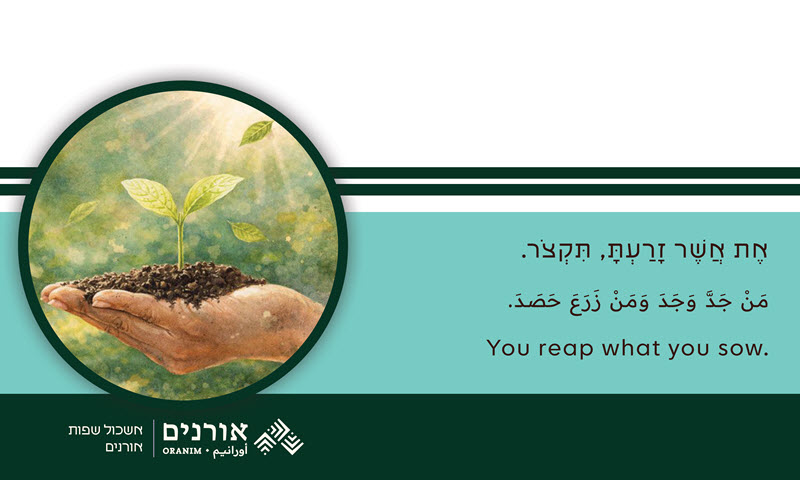 תואר ראשון בלשון - תואר בלשון עברית