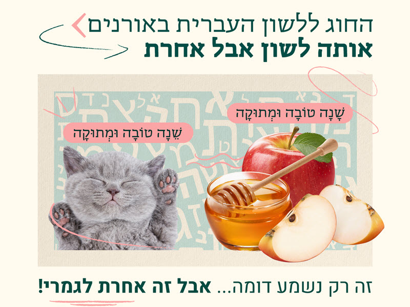 תואר ראשון בלשון - תואר בלשון עברית