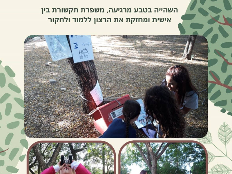 מרכז קמה באורנים