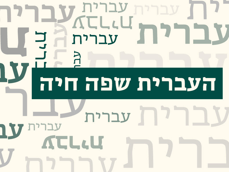 תואר ראשון בחינוך - תואר שני בחינוך